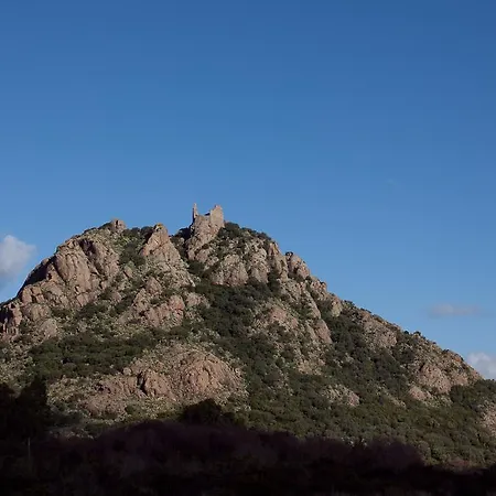 Oda ve Kahvaltı Domu Arega Siliqua